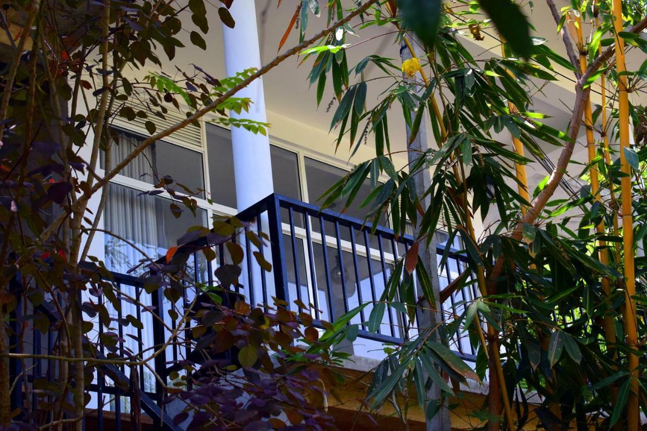 Raveena Guest House Ella Exteriér fotografie
